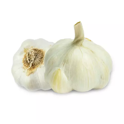 سیر همدان سیر خشک سیر ممتاز سیوان