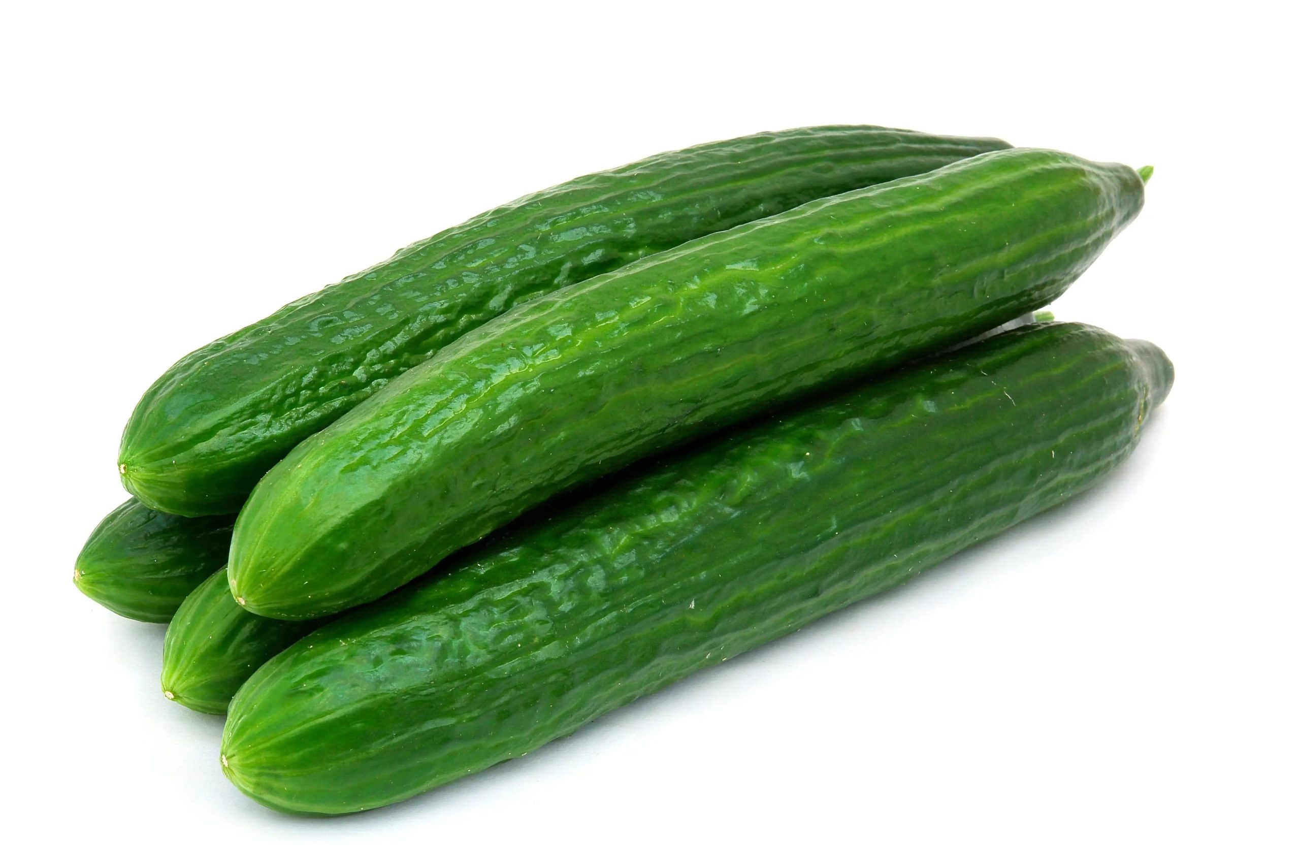 cucumber خیار گلخانه ممتاز سیوان